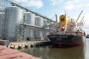 Уряд скоригував ціни на експорт зерна